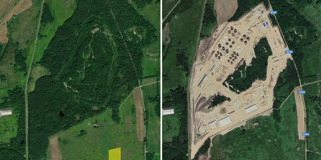 Лесозащитные насаждения волгоград. Лесовосстановление. 100 га леса. 100 га леса. 100 га леса.