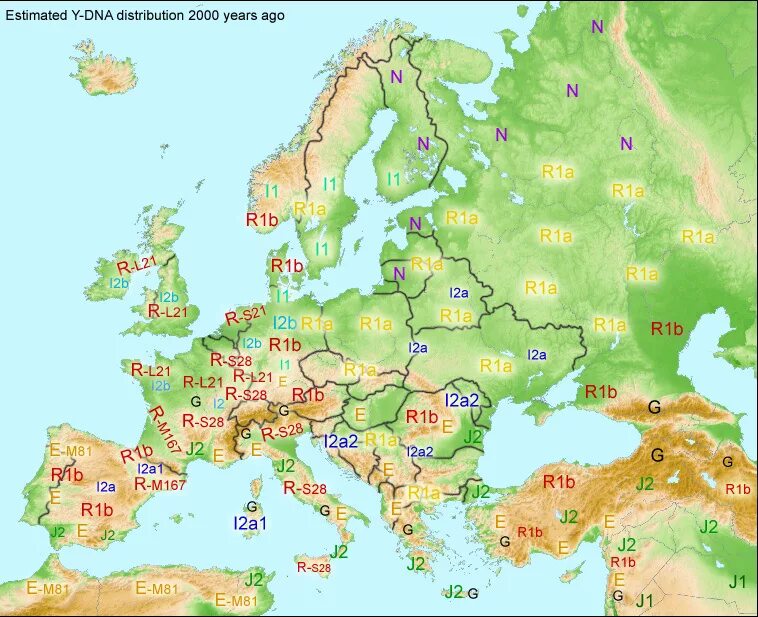 геном европейцев