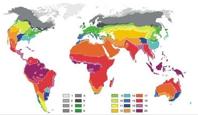 Type map. Type map