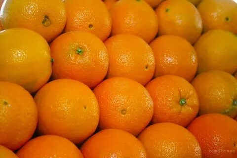 Египетские апельсины