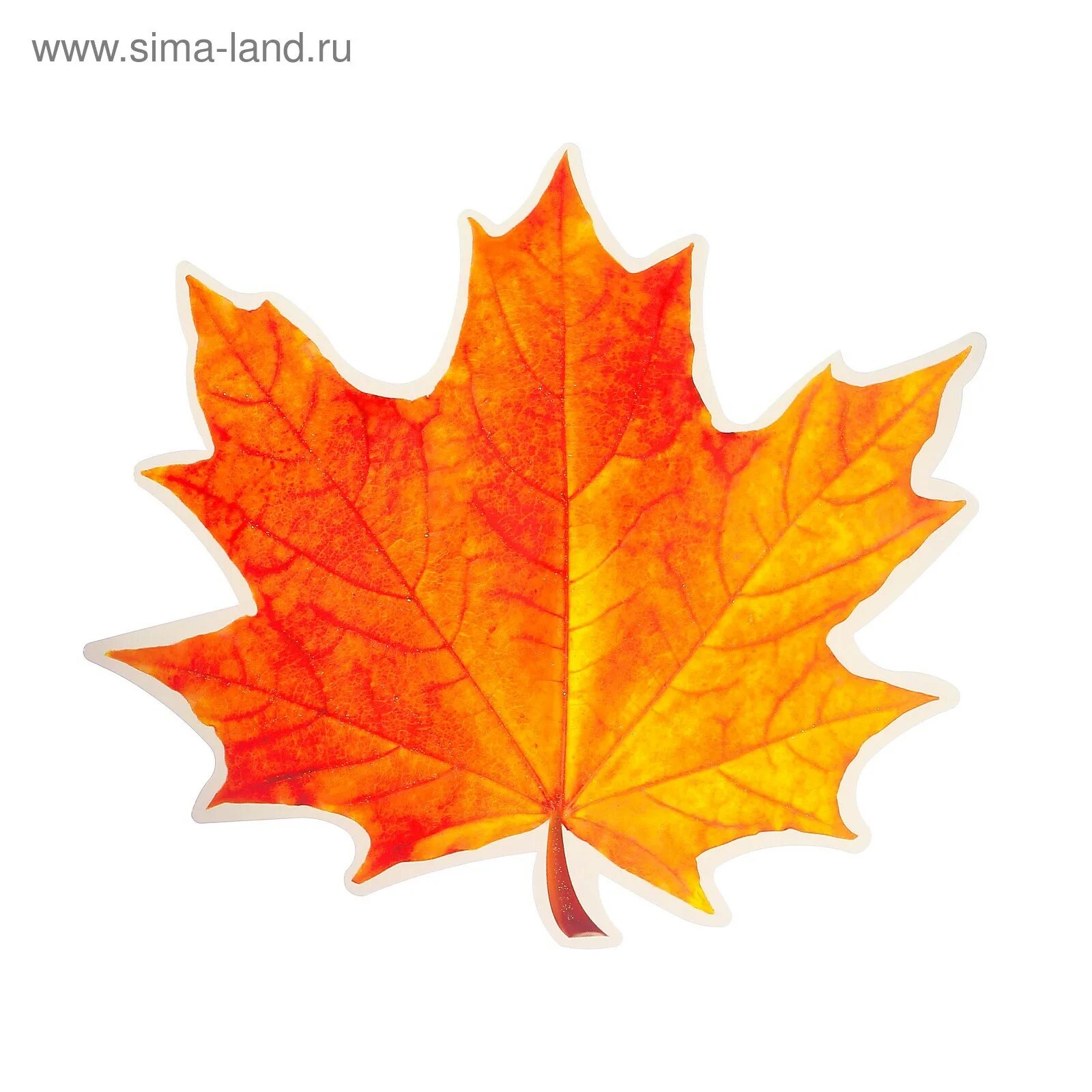 Листья клена 7. Осенние листочки. Кленовый лист. Кленовый лист цветной. Кленовый лист оранжевый.