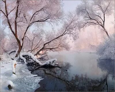 Все в природе замерло