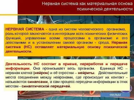 Материальной основой системы