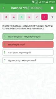 Тесты аккредитация лечебное дело