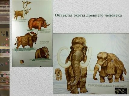 Как охотились древние люди история 5 класс