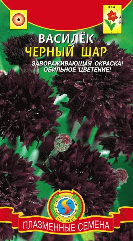 Василек черный шар махровый однолет.0,5г.. Василек черный шар. Василек черный махровый. Василек семена.