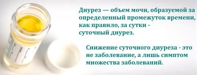 Изменение количества мочи. Снижение суточного количества мочи. Объем мочи. Маленький объем мочи. Причины снижения количества мочи.