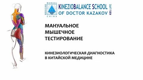 Мышечная диагностика