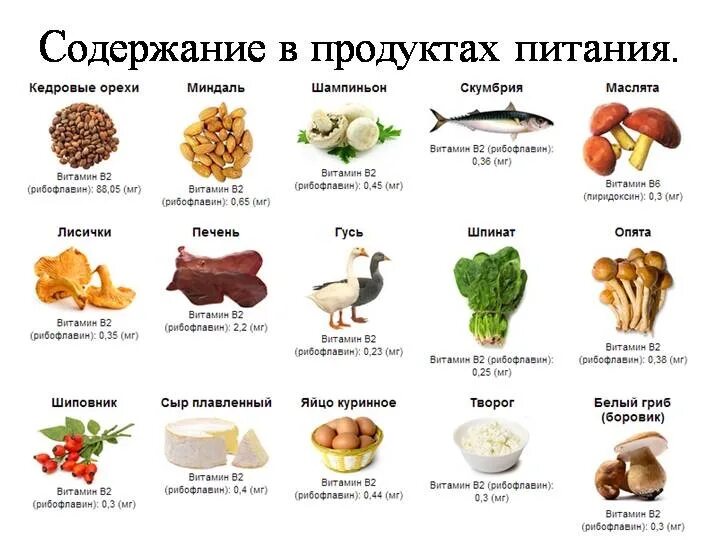 Б6 в сутки. Продукты содержащие витамин в2 таблица. Продукты с высоким содержанием витамина k2. Содержание витамина b в продуктах таблица. Продукты богатые витамином в2 таблица.