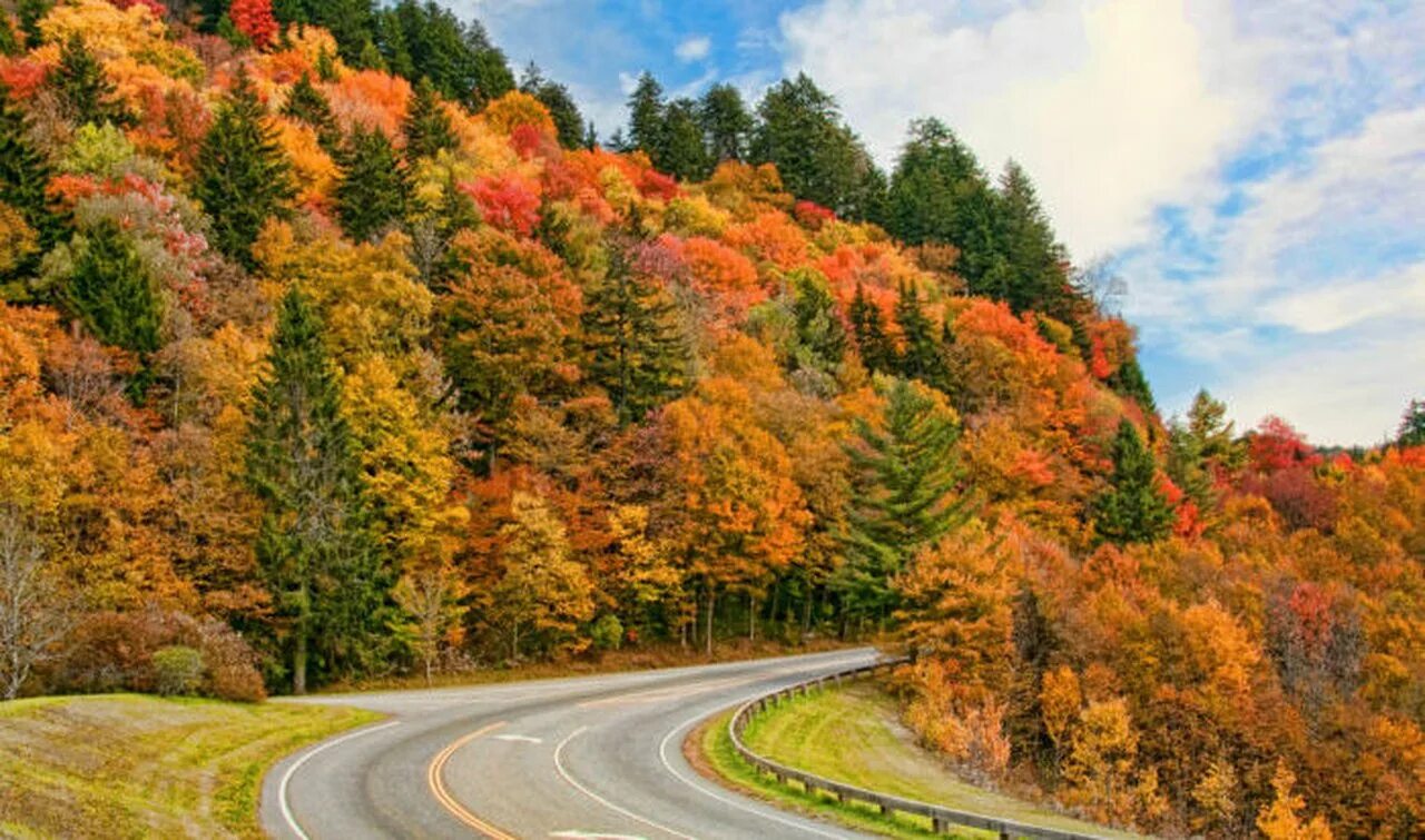 That the fall. «запределье» (the fall). That the fall. отем фоллс (autumn falls). The fall группа фото.