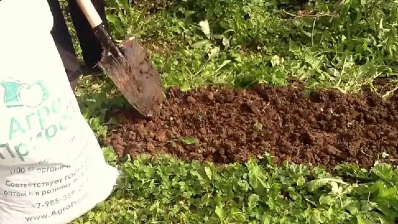 Можно ли навоз вносить весной. Подготовка почвы для посадки клубники. Клубника удобрение перегноем компостом. АГРОПРИРОСТ удобрение. Удобрение в лунку клубники.