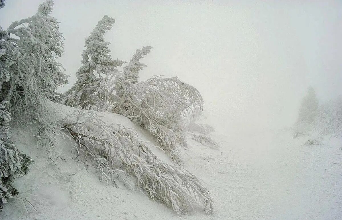 Буран снежная буря. Косая метель. Февраль метель. Свистит косая метель белая. Март метель.