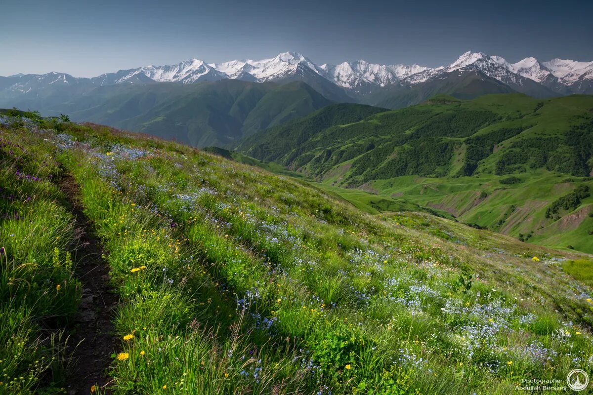 Природные пояса кавказских гор. Северная Осетия горы Альпийские Луга. Субальпийский пояс Кавказа. Субальпийские и Альпийские Луга. Альпийские Луга Северного Кавказа.