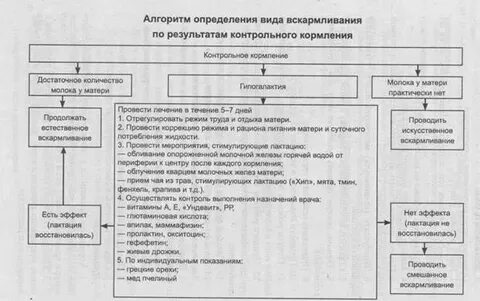 Оценка состояния ребенка алгоритм