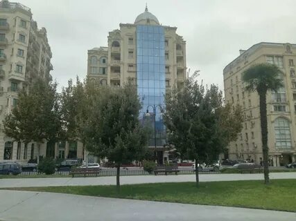 Динамо баку физули