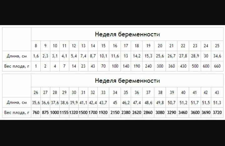 Вес ребенка на 33 неделе. Вес плода в 20 недель беременности норма таблица. Вес плода на 15 неделе беременности норма. 33 Неделя беременности вес и рост малыша. Вес плода в 26 недель беременности норма таблица.