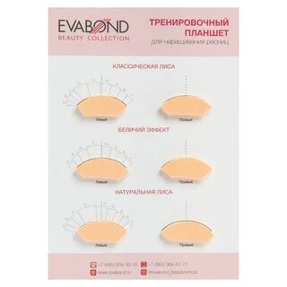 Упражнения для наращивания