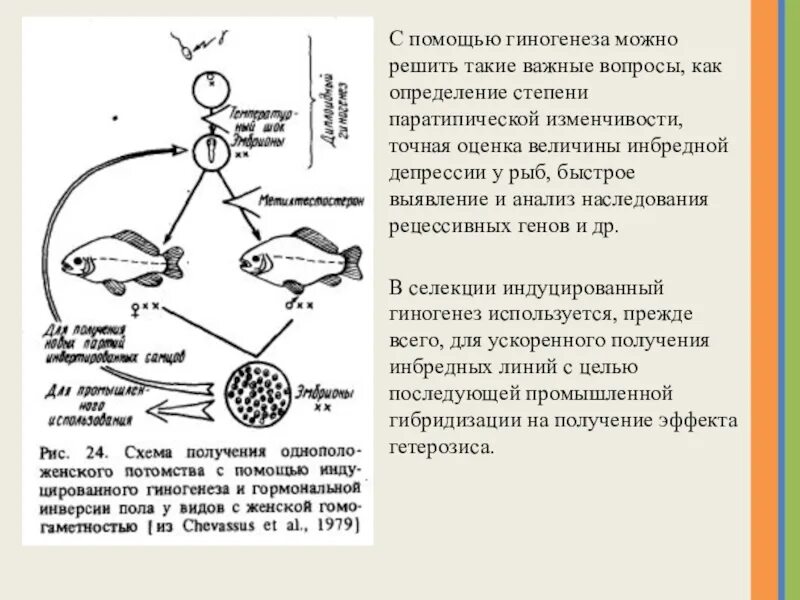 Биологическое значение гиногенеза