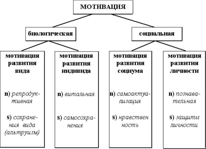 К социальной мотивации относятся. Виды мотивации физиология. Классификация мотиваций физиология. Классификация мотивов и стимулов. Биологическая мотиваци.