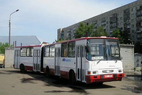 Автобус ченки гомель