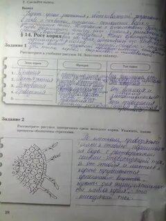 Решебник пономарева