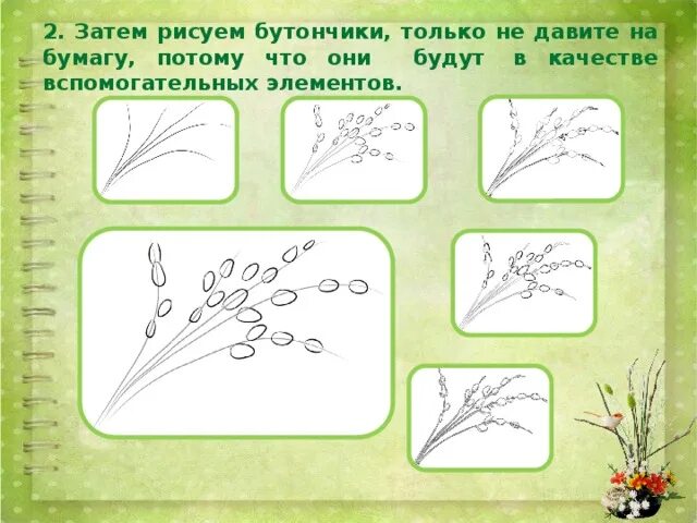 Рисование с натуры весенней ветки. Рисование весенней веточки 1 класс. Ветка 2 класс изо. Изо ветка вербы 2 класс.