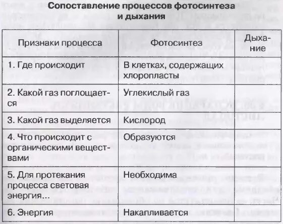 Таблица сравнение процессов фотосинтеза и дыхания. Таблица признаки процесса фотосинтез дыхание биология 6 класс. Таблица по биологии фотосинтез и дыхание. Таблица по биологии 6 класс фотосинтез и дыхание. Сравнение процессов фотосинтеза и дыхания где происходит