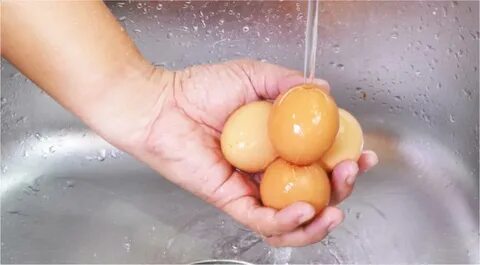 Хранения мытых яиц