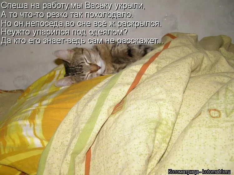 А что так резко