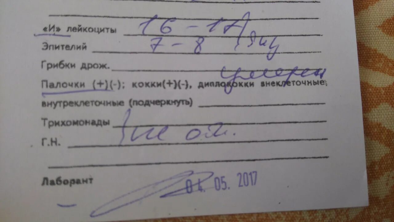 Частое мочеиспускание анализы. Справка о частом мочеиспускании. Акт неправильного мочеиспускания животных. Жалобы на частые мочеиспускания в 4 года.