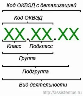 Реестр кодов оквэд