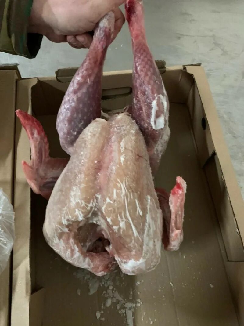 Голень индейки, халяль. Вес ооо "абсолют агро". Крыло индейки замороженное. Индейка мороженая. Грудка индейки.