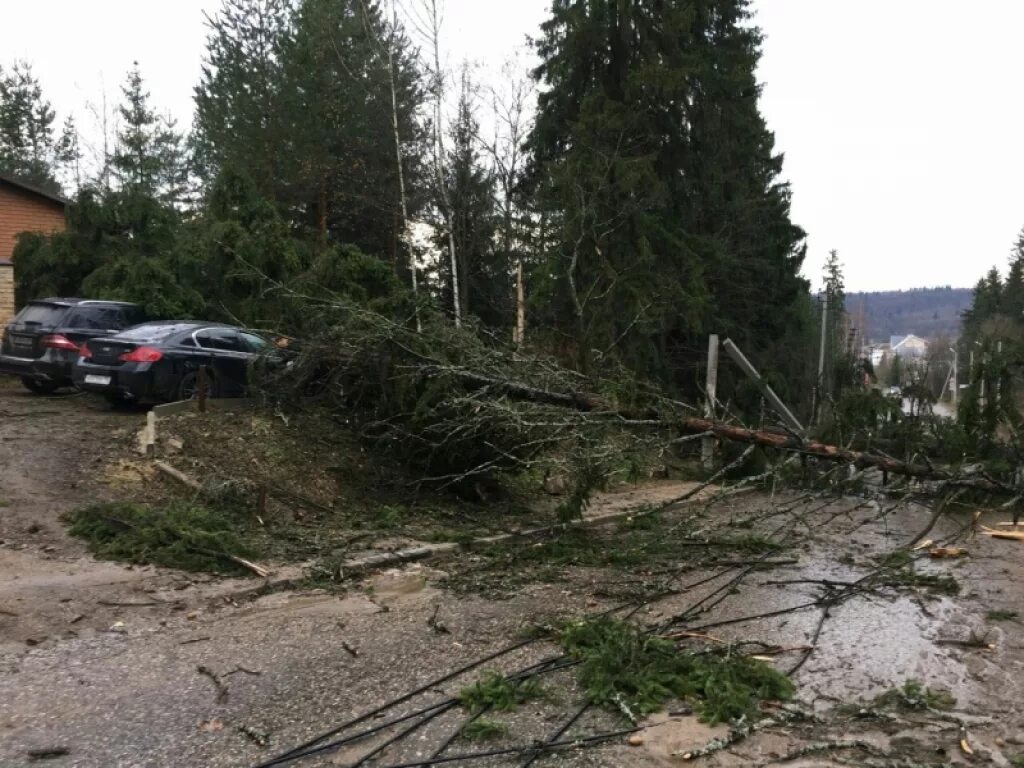 Погода в рузе сегодня. Ураган в Тучково. Ураган Тучково 2016. Ураган в Рузе. Ураган в Рузе 2016 год.