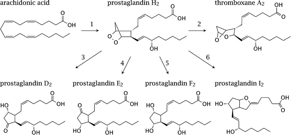 Простагландин d3 строение. Простагландин н2. Простагландин е2 и простагландин е1. Простагландин е1 механизм. Простогландин