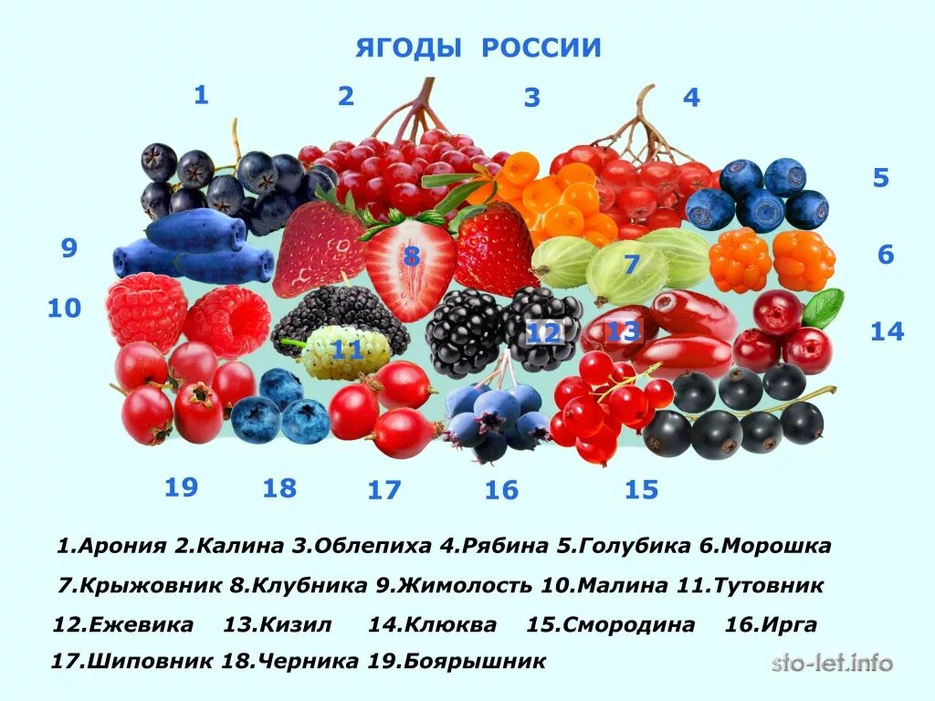 Витамины в ягодах. Полезные ягоды. Самые полезные ягоды. Какие витамины в ягодах. Содержится в ягодах и фруктах