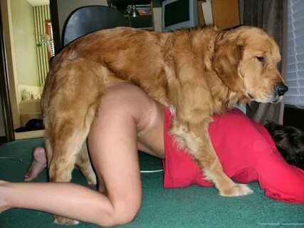 Dog knotting in woman.