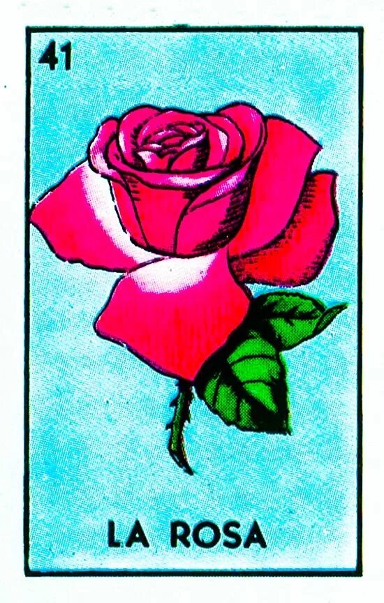 Rosa writes. La rosa. la rosa zelma. la rosa generation. la rose.