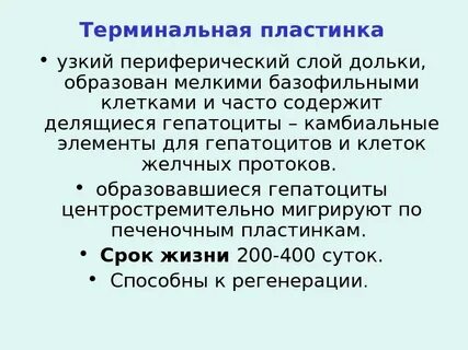 N терминальный терминальный мозговой