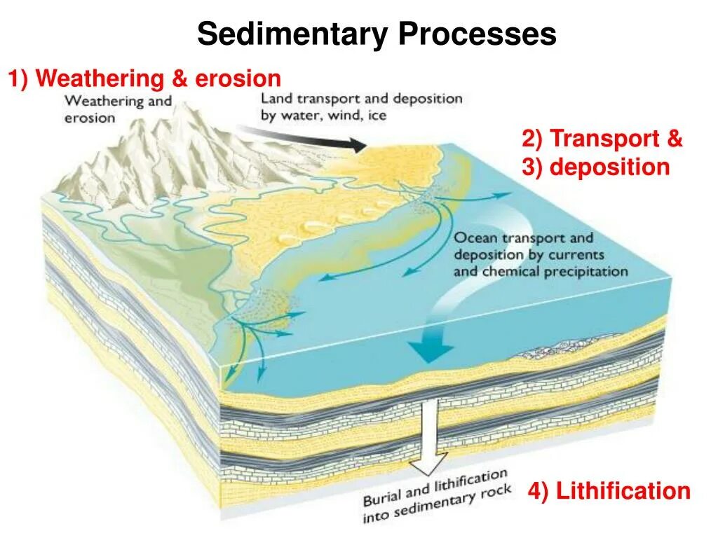 Erosion and deposition. Sedimentary basin Analysis. Worksheet about Glacial erosion and deposition. Questions about Glacial erosion and deposition.