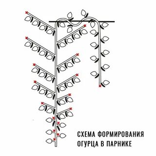 Как формировать