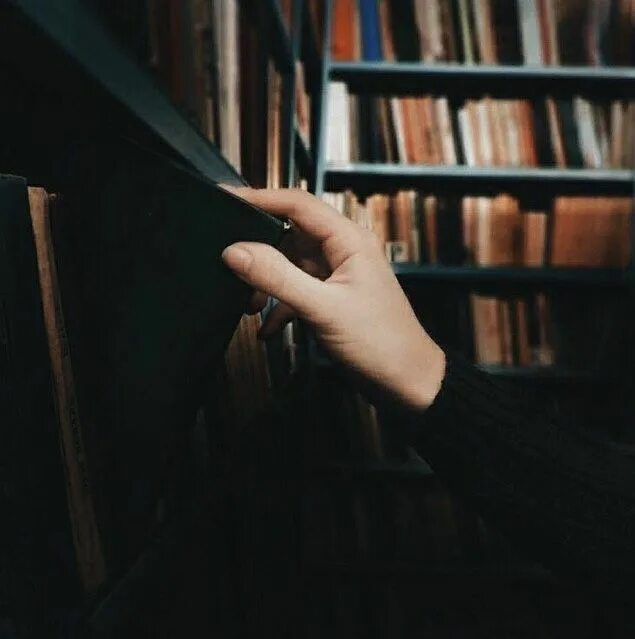 Дом в котором нет книг подобен телу. Эстетика рука с книжкой. книга в руках. фотосессия с книгами. девушка с книжкой эстетика.