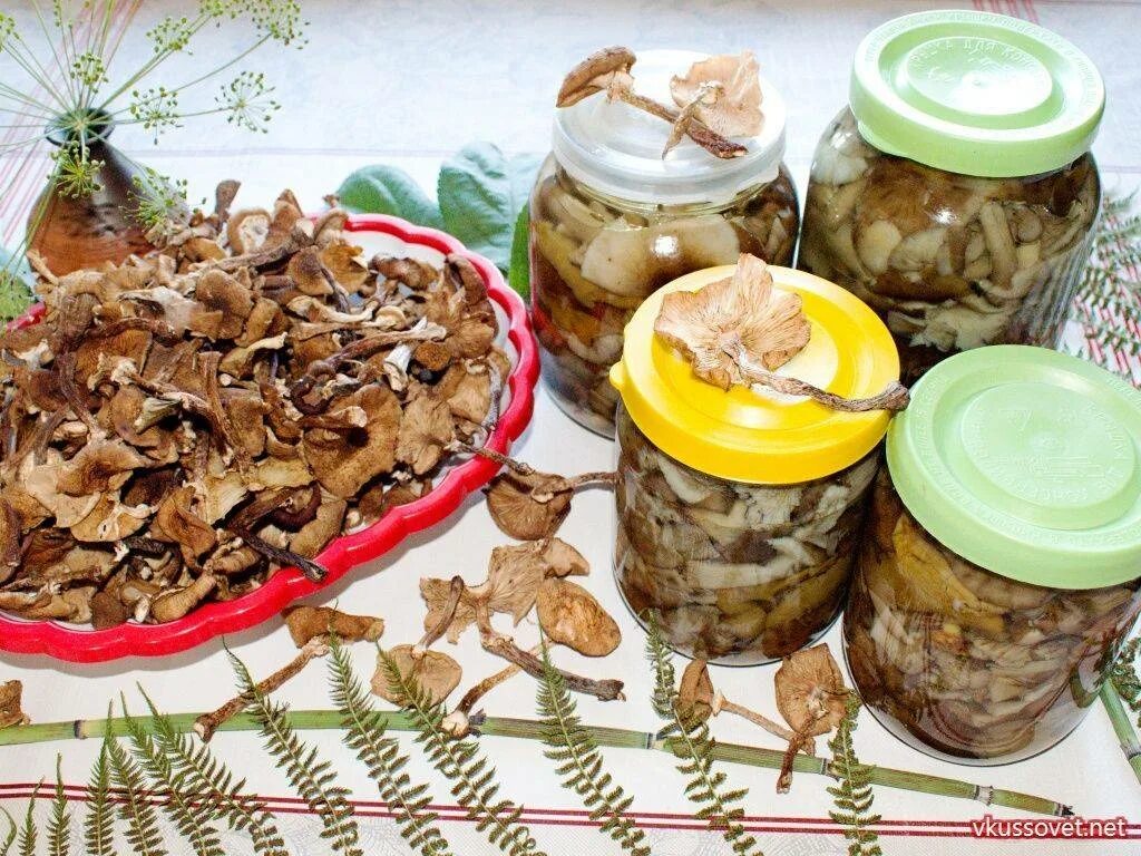Опята приготовление на зиму. Вкусный маринад для опят на зиму. маринад для опят. маринад для опят на зиму. опята на зиму.