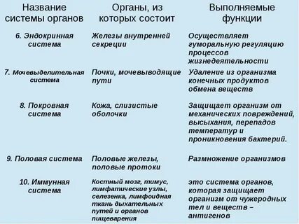 Системы жизнедеятельности животных