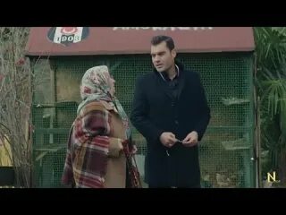 Шавкати мургпарвар кисми