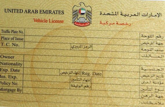 Licence uae lvl 15. Licence uae lvl 15. Saudi driving license. Licence uae lvl 15. Licence uae lvl 15.