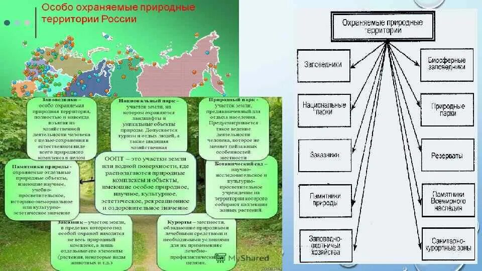 Мероприятия по сохранению объекта. Схему: «виды особо охраняемых природных территорий». Особо охраняемые природные территории таблица биология. Характеристика системы ООПТ РФ. Схема видов особых ООПТ России.