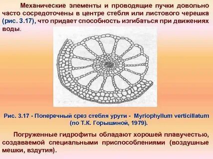 Механические элементы