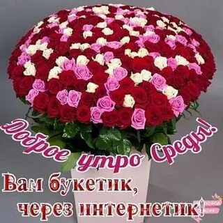 Вот тебе букетик через интернетик