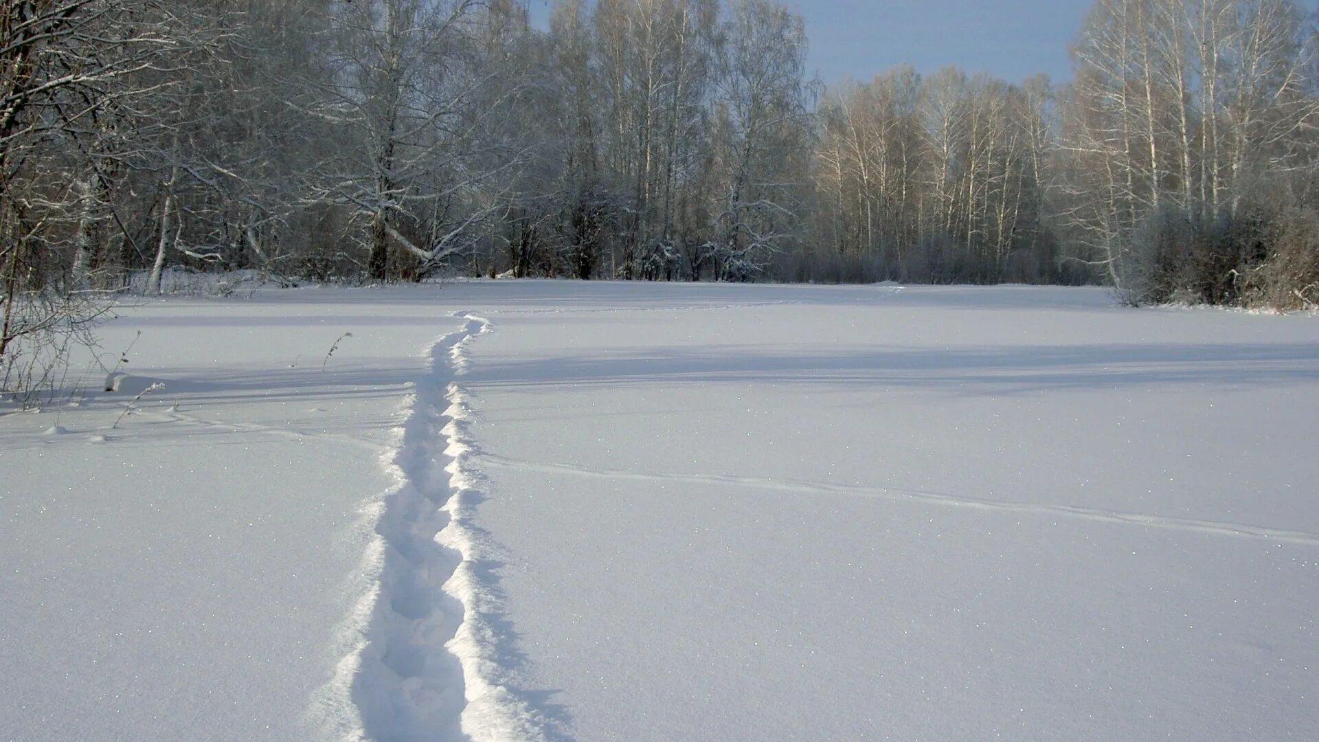 Дорогу в глубоком снегу. Ледяная дорожка. Снежная тропинка. Дорожка зимой. Зимняя тропинка.