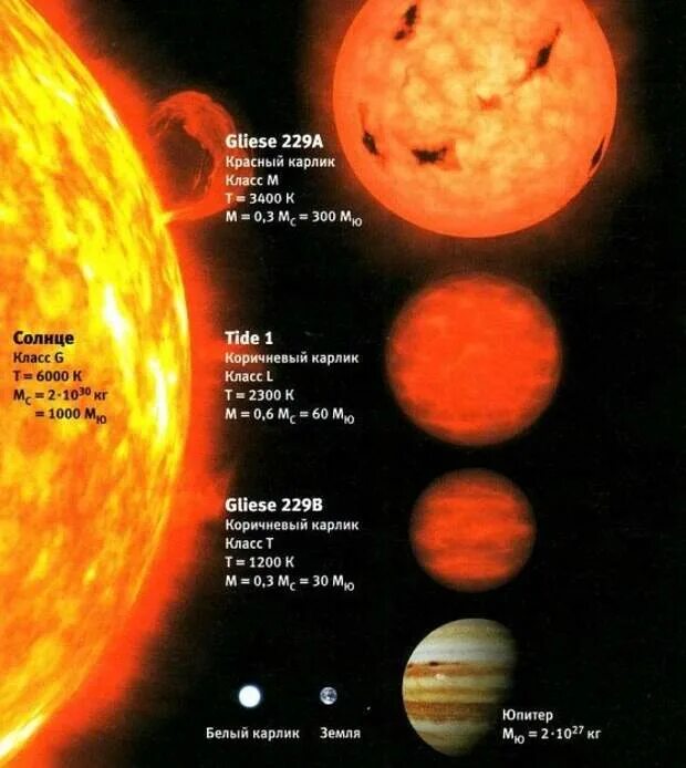 5 звезд карликов. Коричневые карлики Gliese 229. Классификация звёзд карлики гиганты. Красный гигант звезда. Карлики и красные гиганты.